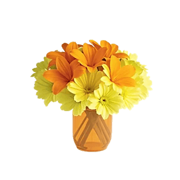 Petal Radiance Bliss