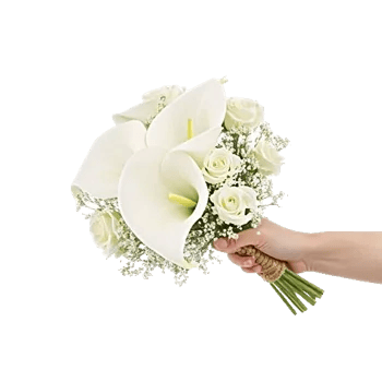 Elegant Calla Lilies