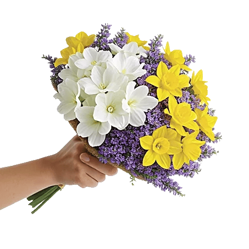 Blossom Harmony Display