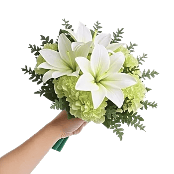 Ivory Garden Grace