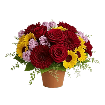 Crimson Blossom Harmony