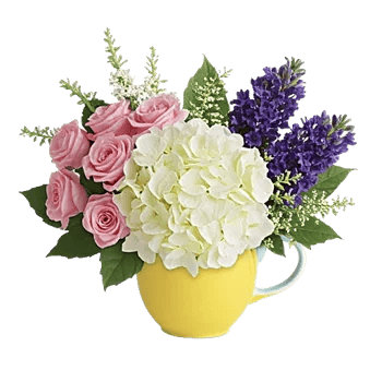 Serene Petal Harmony