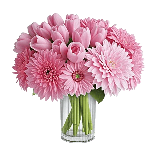 Velvet Tulip Display