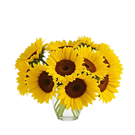 Radiant Bloom Cascade