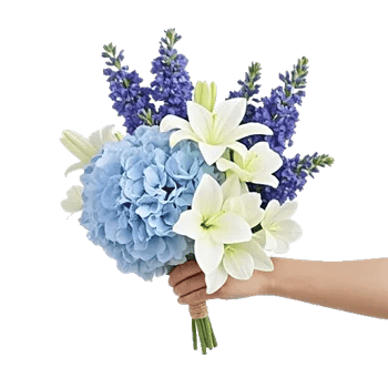 Sapphire Bloom Whisper