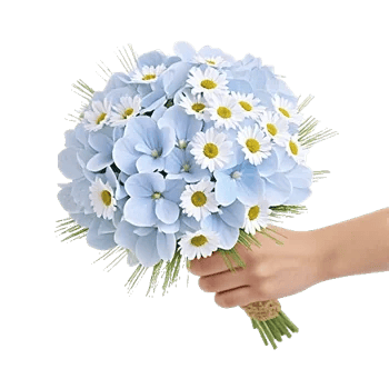 Serene Petal Harmony