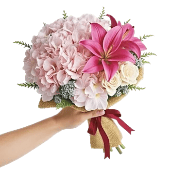 Serene Petal Harmony