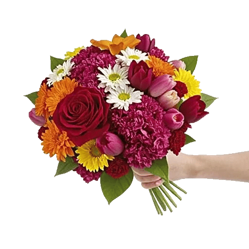 Crimson Rose Elegance