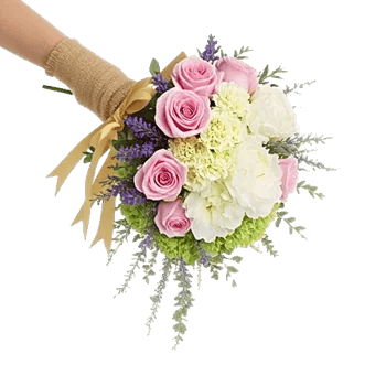 Delicate Petal Cascade