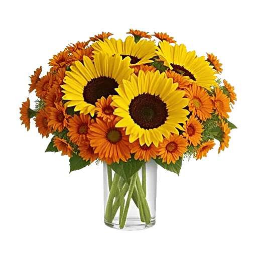 Golden Bloom Radiance