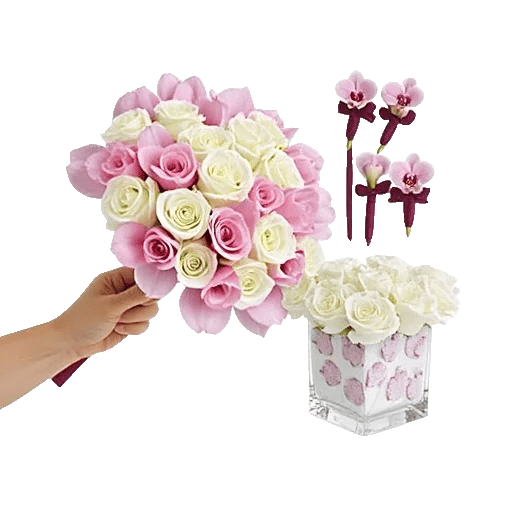 Elegant Calla Lilies