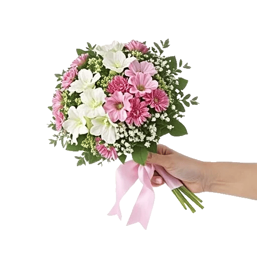 Petal Grace Harmony