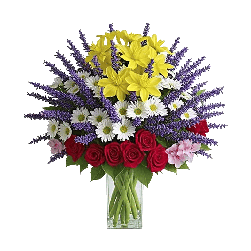 Petal Radiance Bliss