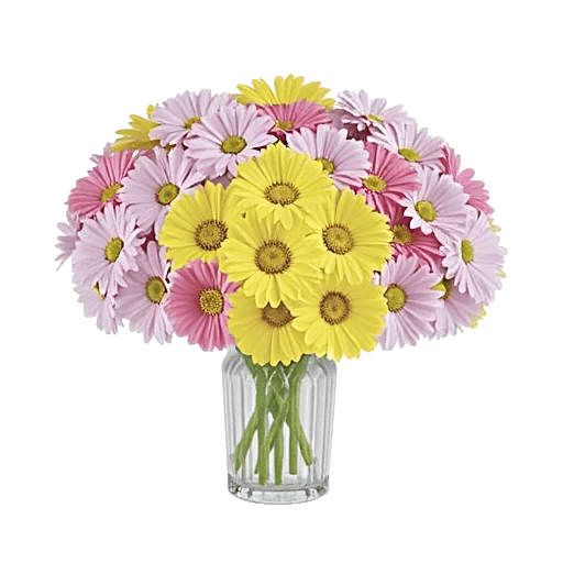 Petal Harmony Bliss