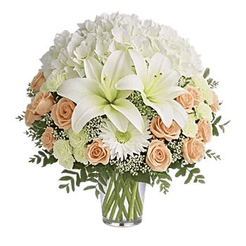 Ivory Blossom Radiance