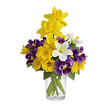 Petal Radiance Bliss