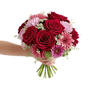 Crimson Rose Elegance