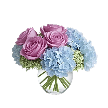 Serene Petal Harmony