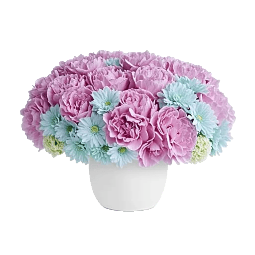 Serene Petal Harmony