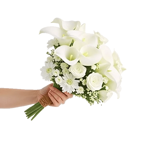 Elegant Calla Lilies