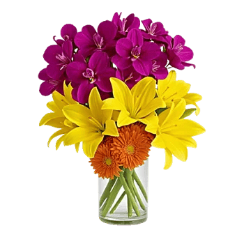 Orchid Bloom Cascade
