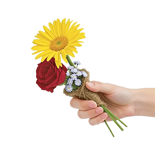 Enchanting Daisy Garden