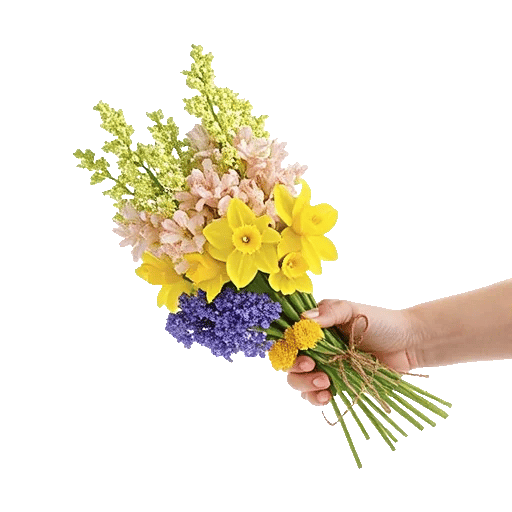 Blossom Harmony Display