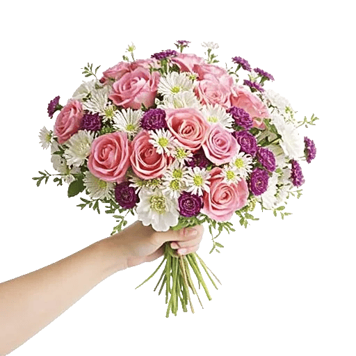 Pink Pastel Roses