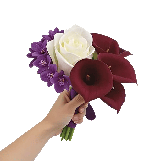 Elegant Calla Lilies