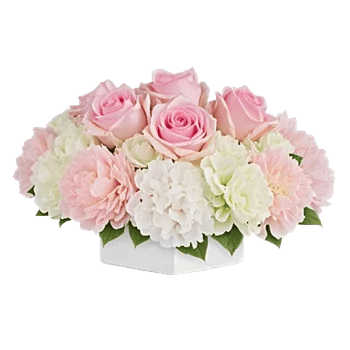 Delicate Petal Cascade