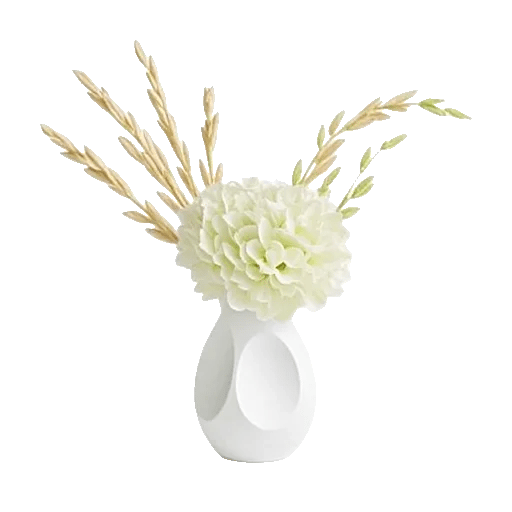 Minimalist White Orchids