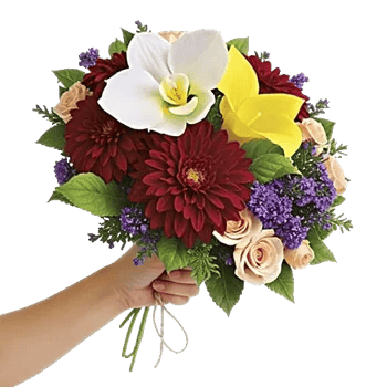 Modern White Orchids