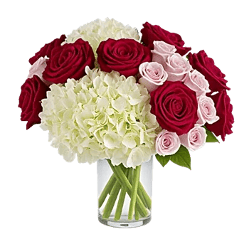 Ivory Blossom Radiance