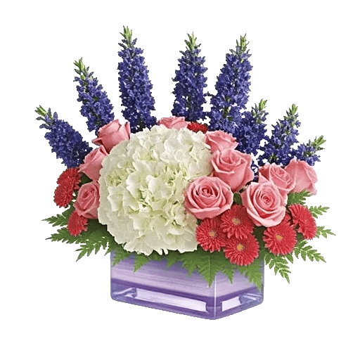 Serene Petal Harmony
