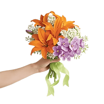 Blossom Glow Symphony