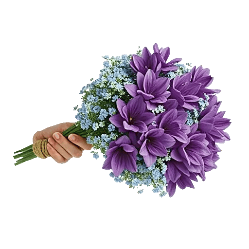 Blossom Petal Serenity