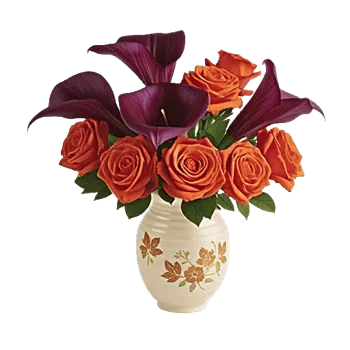 Elegant Calla Lilies