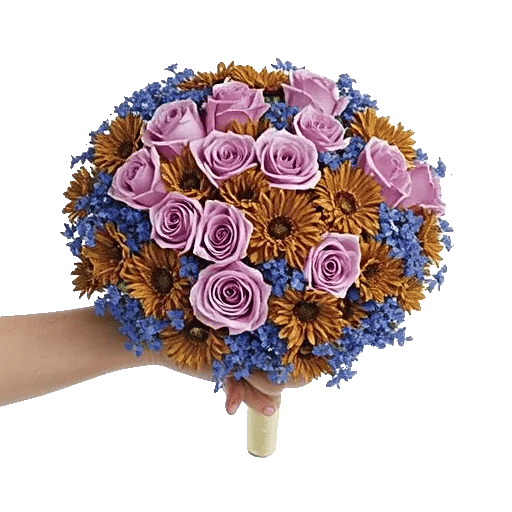 Blushing Rose Symphony