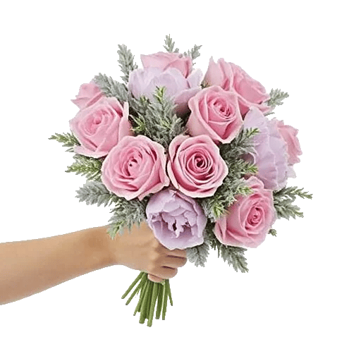 Pastel Pink Roses