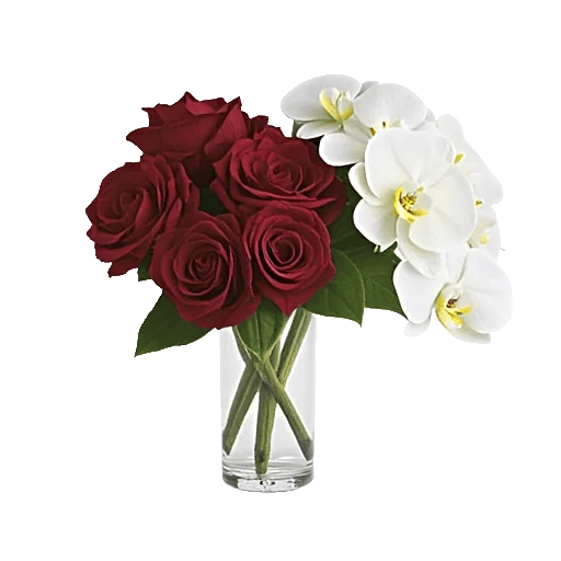 Orchid Bloom Cascade