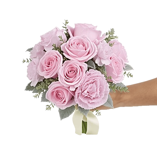 Pastel Pink Roses