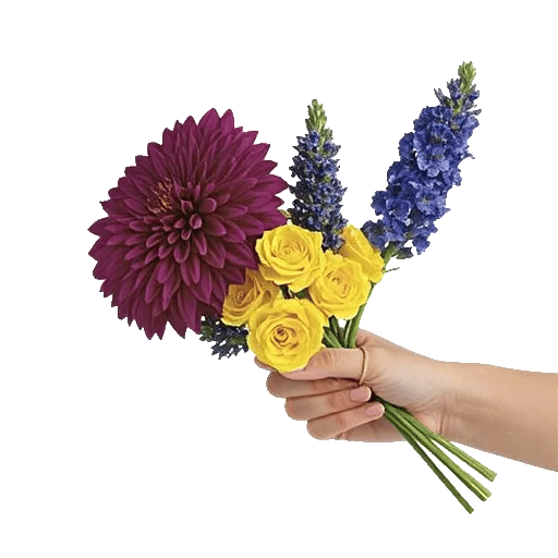 Radiant Bloom Cascade