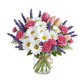 Enchanting Daisy Garden