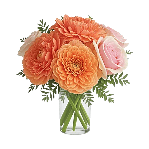 Petal Radiance Bliss