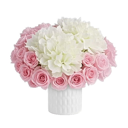 Pink Pastel Roses