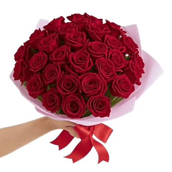 Crimson Rose Elegance