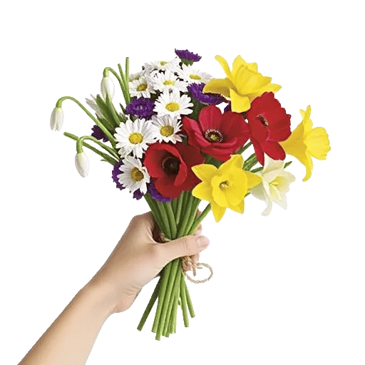 Delicate Petal Cascade