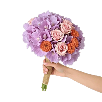 Serene Petal Harmony