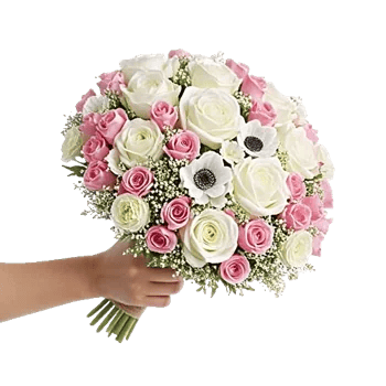 Delicate Petal Cascade