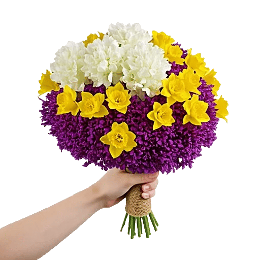 Blossom Harmony Display